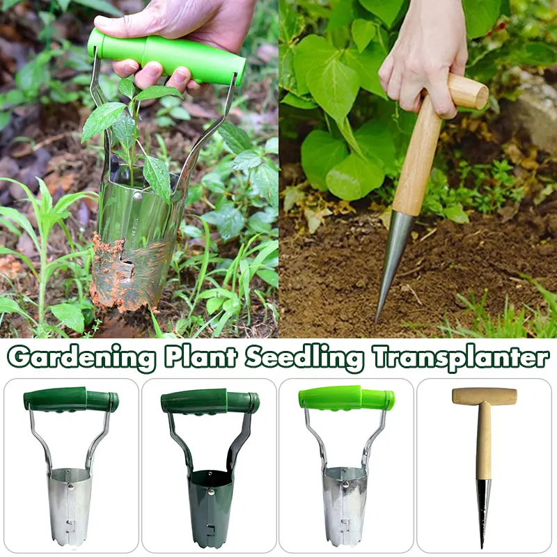 New Plant Fruit Tree Seedling  - مراجعة Vegetable Transplanter وسعره