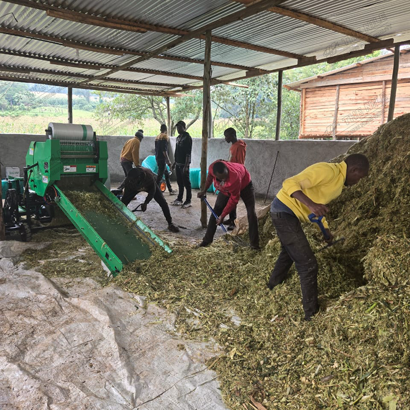 China Corn Silage Grass Harves - مراجعة Silage Baler Machine وسعره