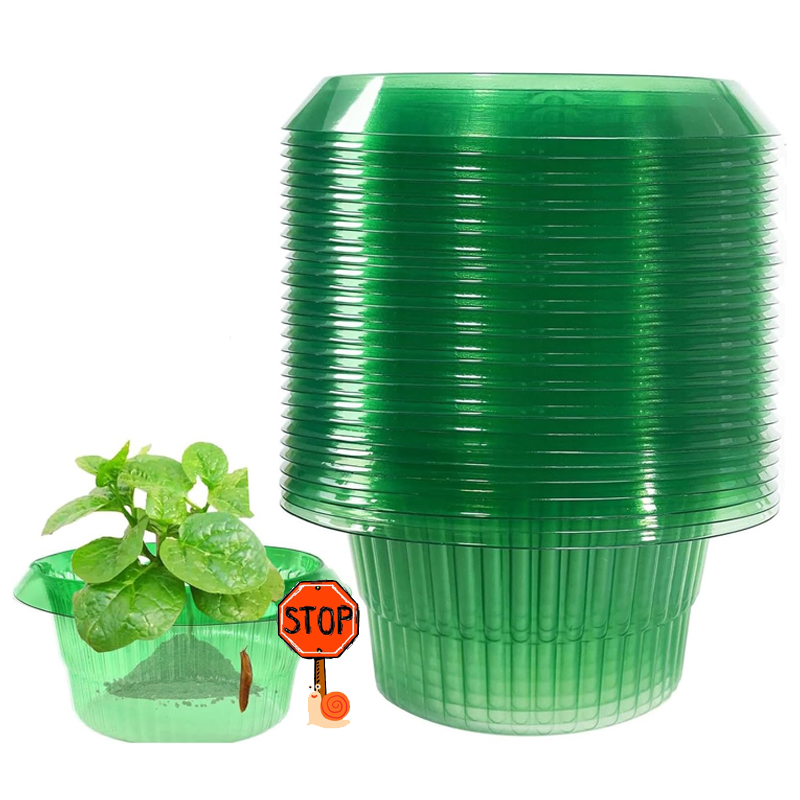 5-25Pcs Plants Slug Protection - مراجعة Vegetable Transplanter وسعره