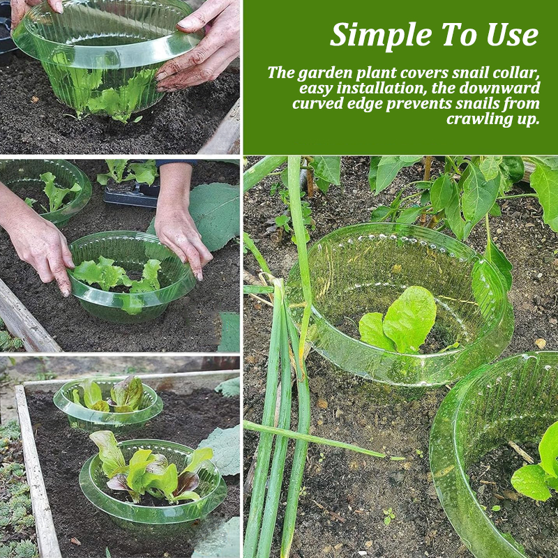 5-25Pcs Plants Slug Protection - مراجعة Vegetable Transplanter وسعره