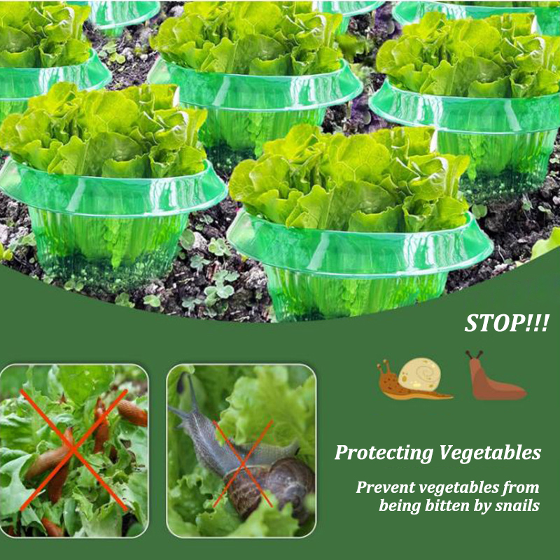 5-25Pcs Plants Slug Protection - مراجعة Vegetable Transplanter وسعره