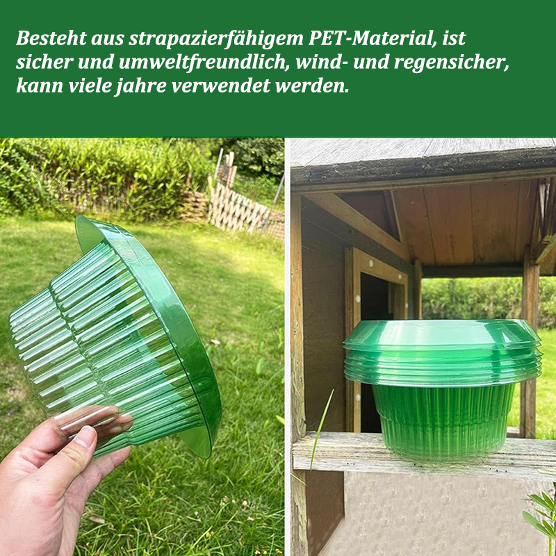 5-25Pcs Plants Slug Protection - مراجعة Vegetable Transplanter وسعره