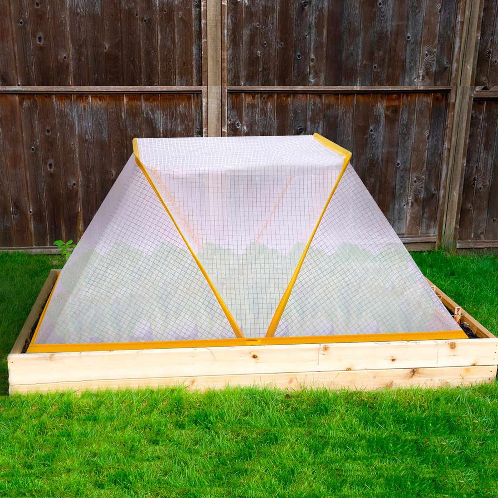 Greenhouse Garden Protector Wi - مراجعة Vegetable Transplanter وسعره