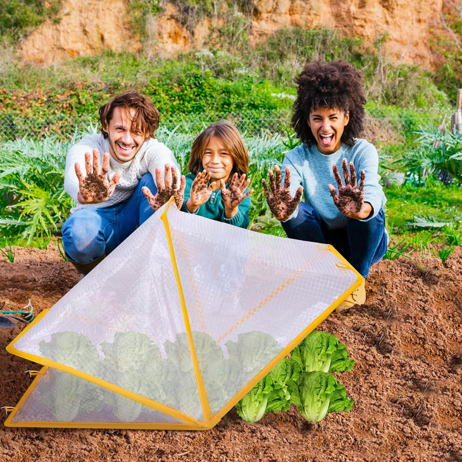 Greenhouse Garden Protector Wi - مراجعة Vegetable Transplanter وسعره
