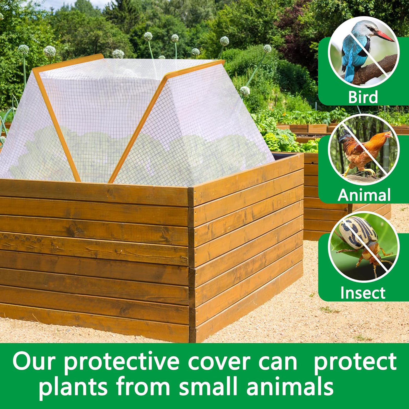 Greenhouse Garden Protector Wi - مراجعة Vegetable Transplanter وسعره