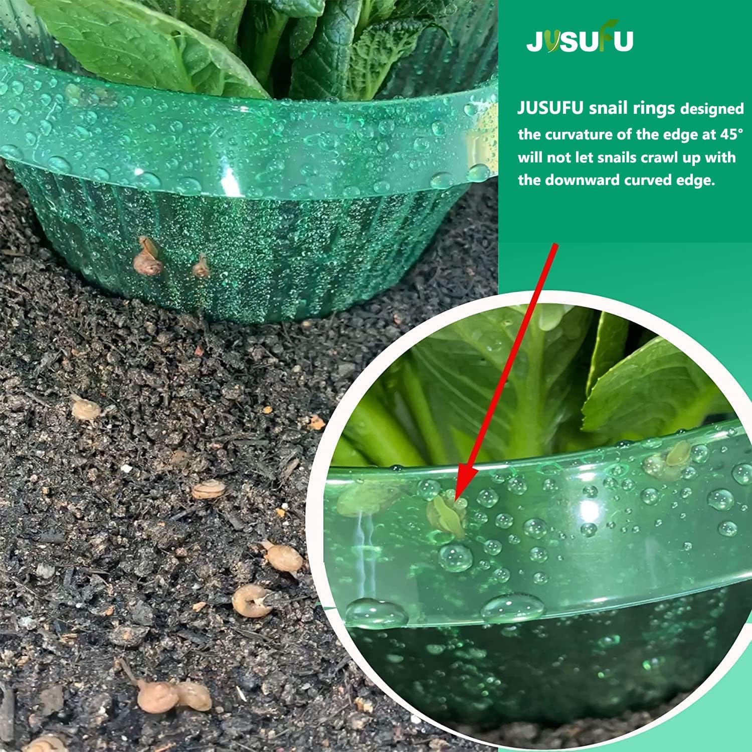 1/30pcs Plants Slug Protection - مراجعة Vegetable Transplanter وسعره