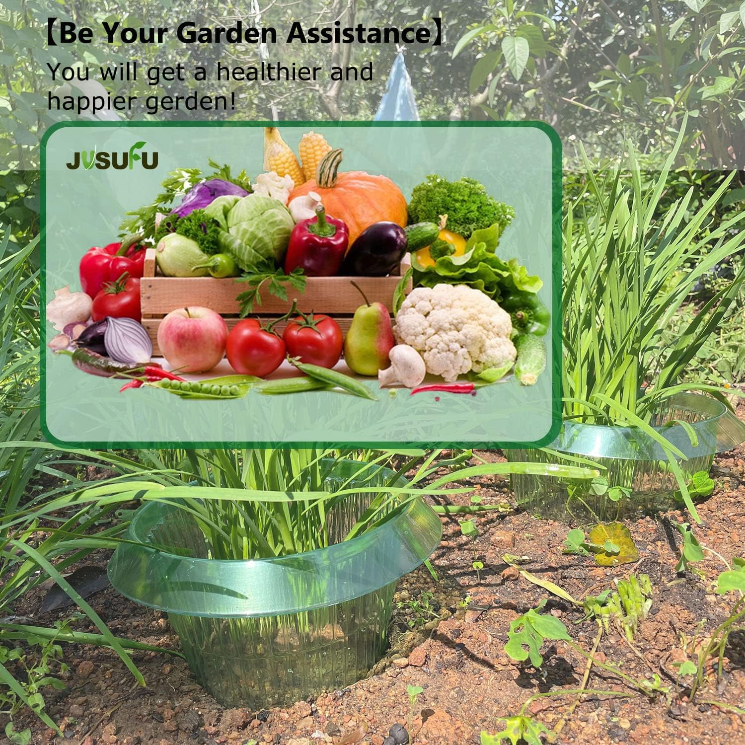 1/30pcs Plants Slug Protection - مراجعة Vegetable Transplanter وسعره