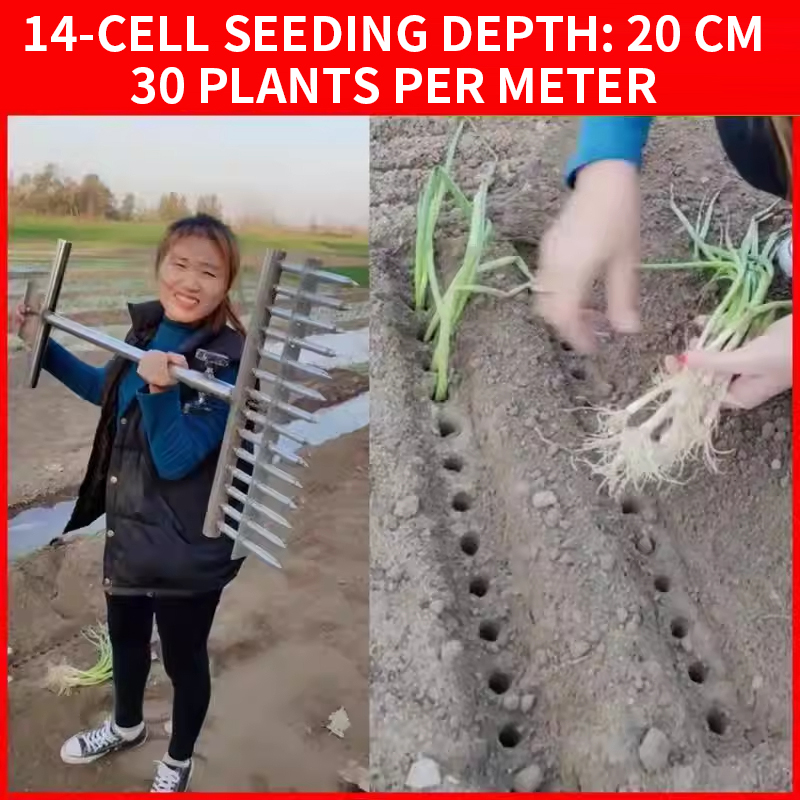 Onion Planter, Rice Transplant - مراجعة Vegetable Transplanter وسعره