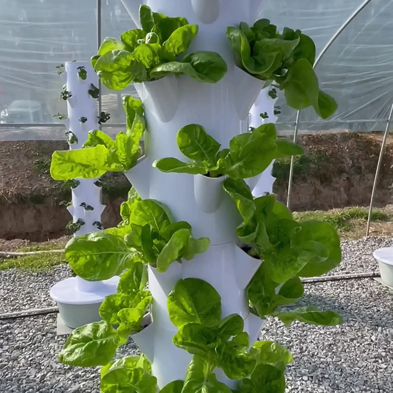 With Led Grow Light Space Tree - مراجعة Vegetable Transplanter وسعره